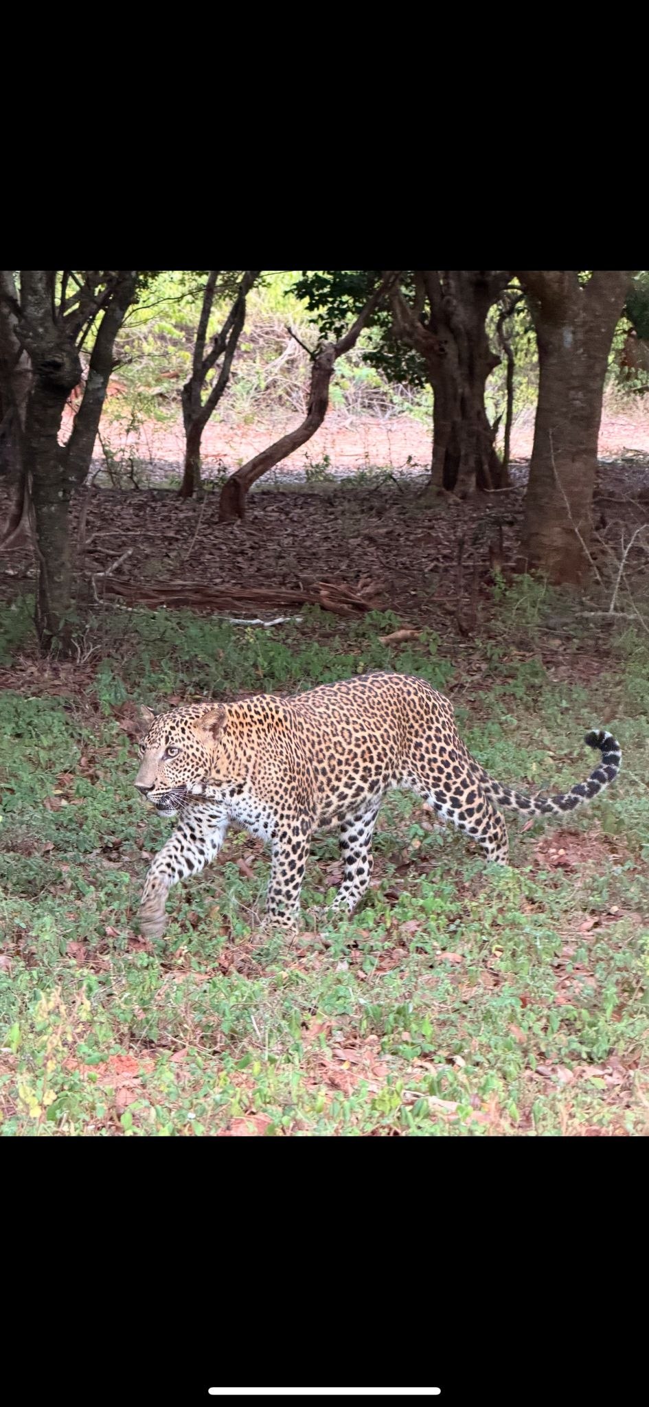 Tour photo